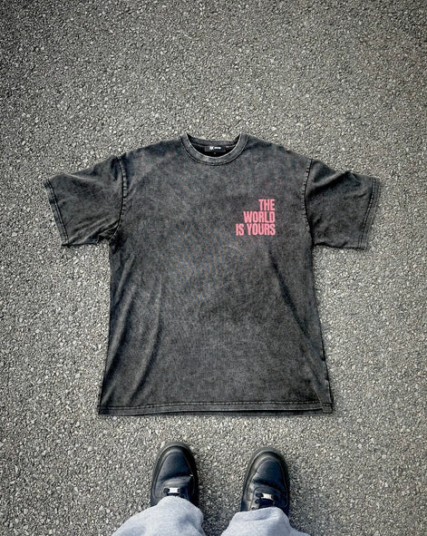 THE WORLD IS YOURS Washed