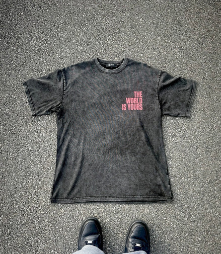 THE WORLD IS YOURS Washed