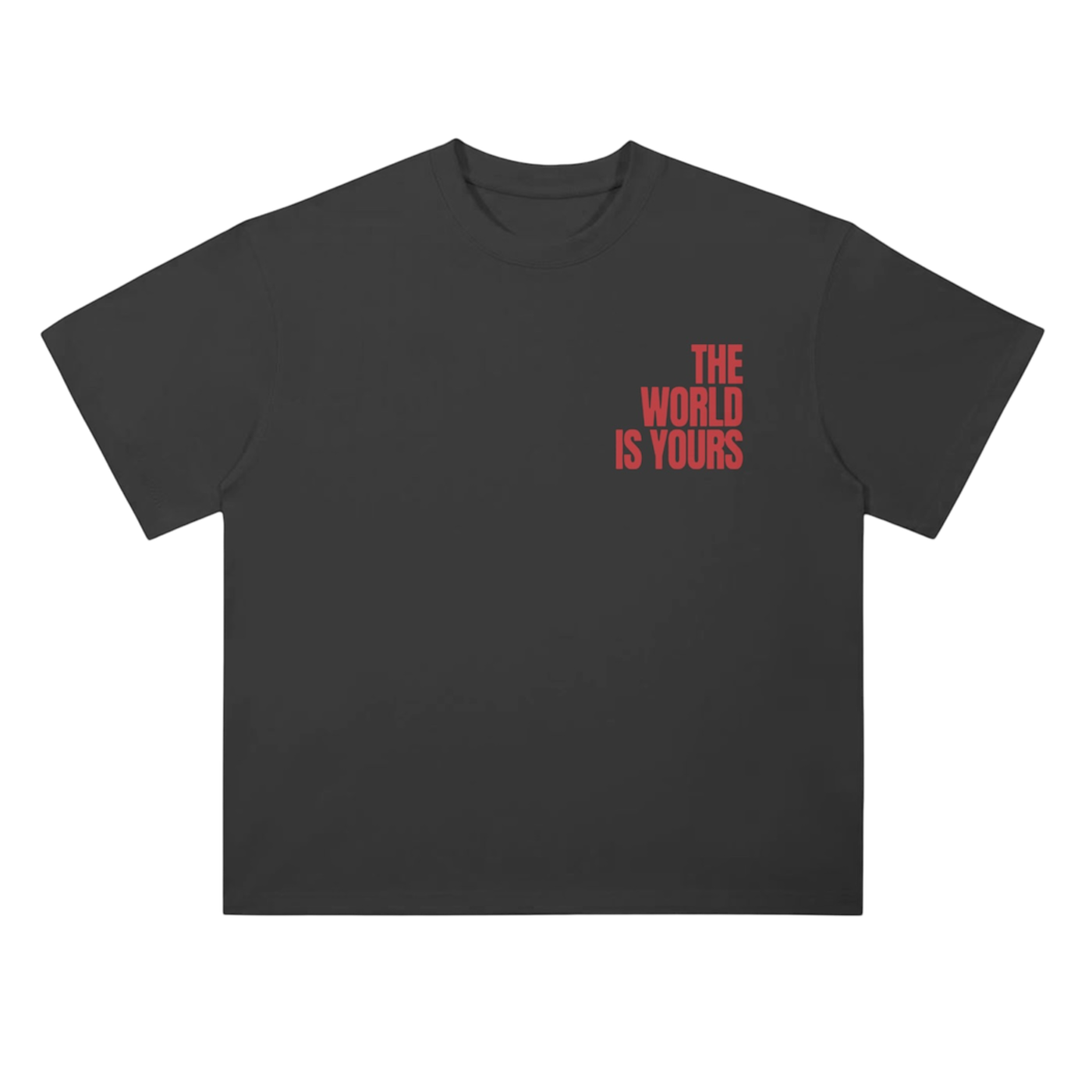 THE WORLD IS YOURS Shirt